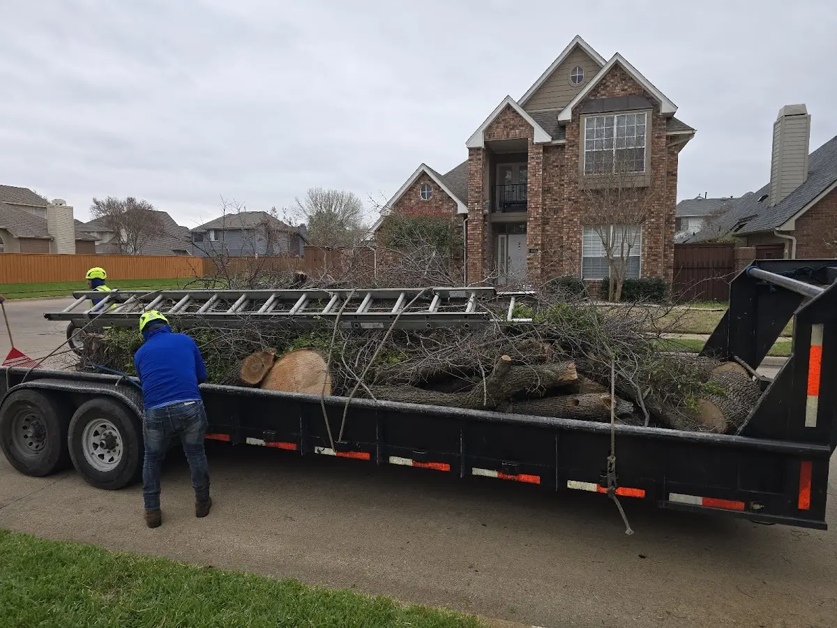 Expert Crown Reduction with proper safety equipment in Clarkridge
